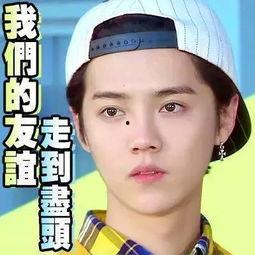 娱乐圈吃瓜真假,真假瓜果纷飞，揭秘明星幕后真相